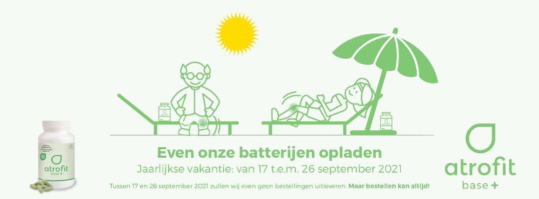 Jaarlijkse vakantie Jaarlijkse vakantie